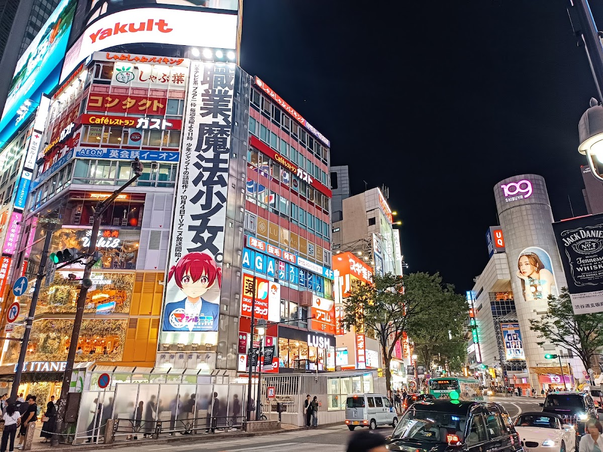 渋谷スクランブル交差点（ハロウィンの花嫁の聖地）
