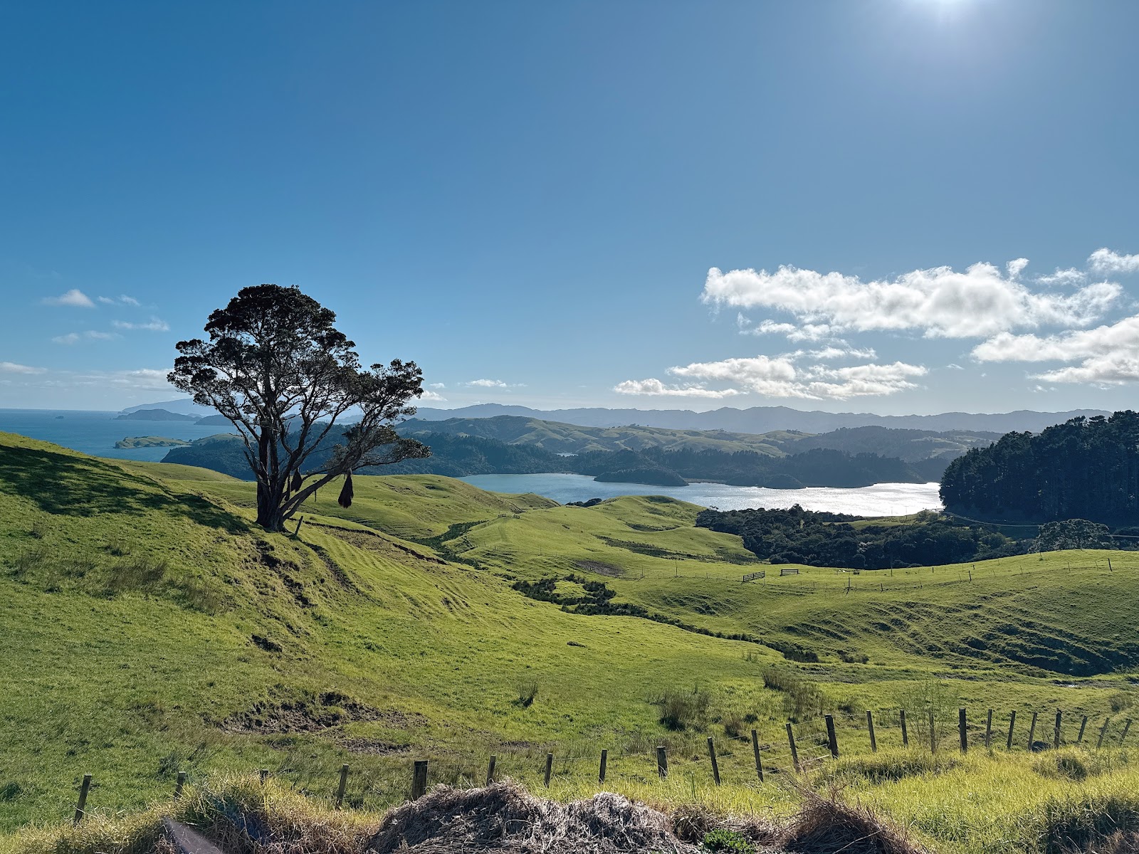 Coromandel Mercury Bay