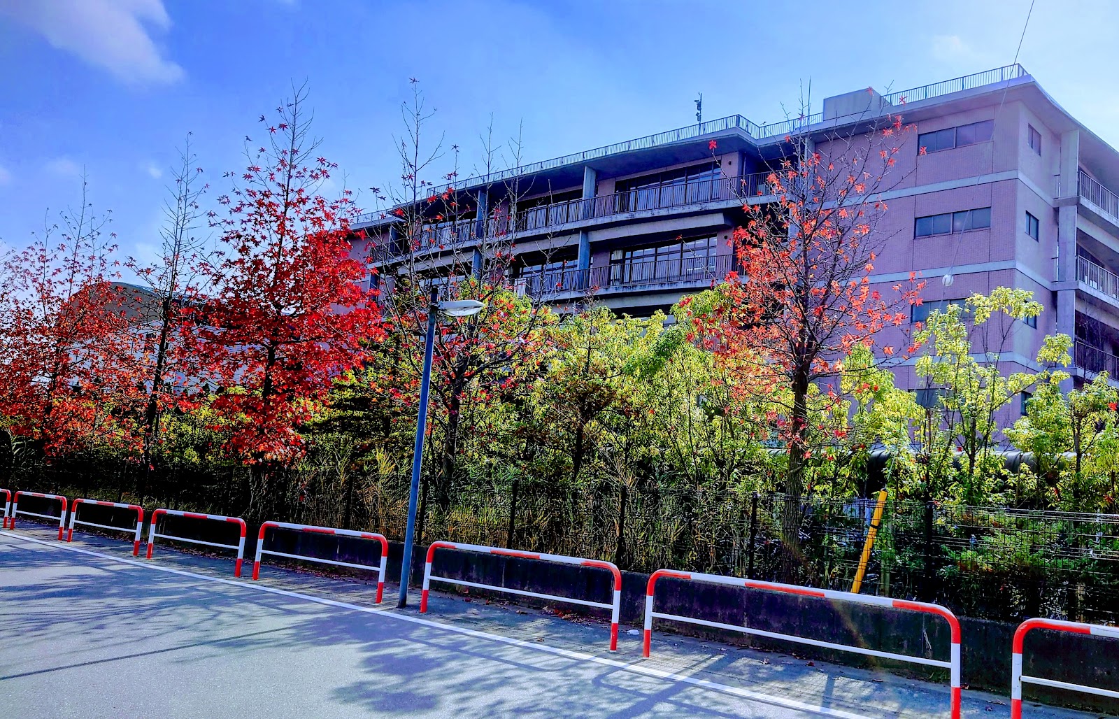 市川中学校の校内・教育環境