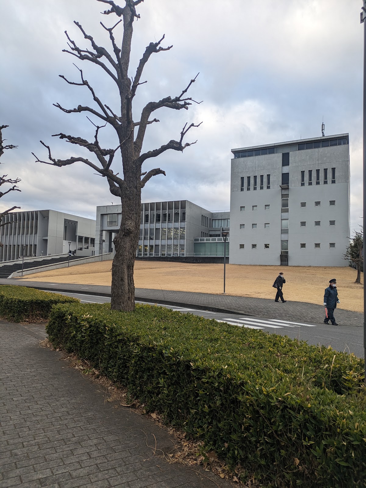 慶應義塾湘南藤沢中等部（SFC） 国際教育・情報教育・帰国生入試に強い