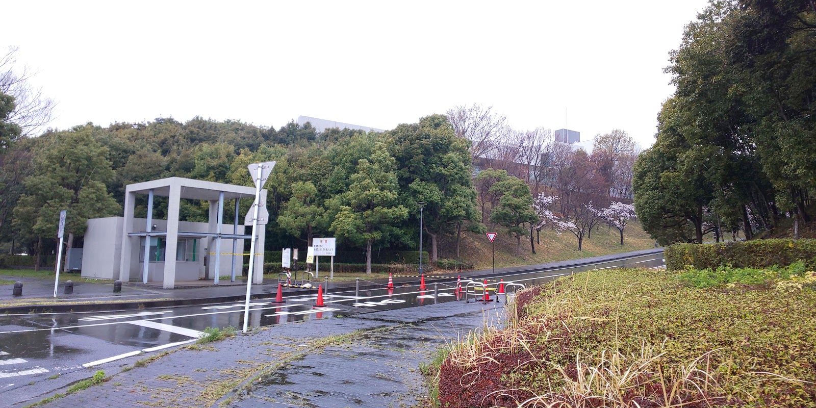 慶應義塾湘南藤沢中等部 2026年度入試 一次2/2・二次2/4・一般70名・帰国生30名