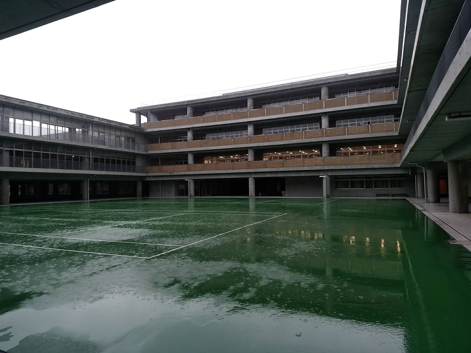 聖光学院中学校 2025年東大95名・現役85名・神奈川No.1の進学実績