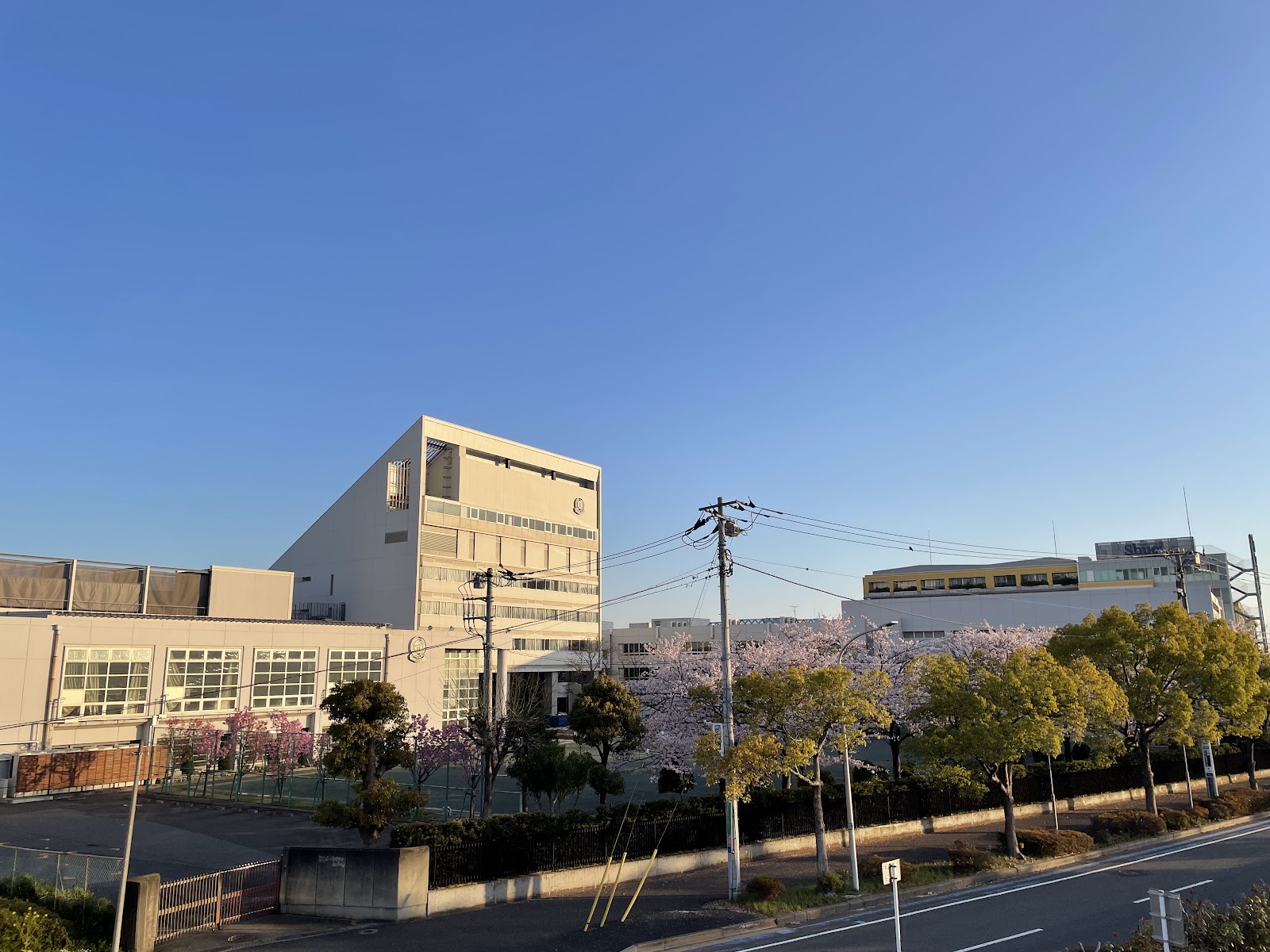 渋谷教育学園幕張中学校（渋幕） 千葉県千葉市美浜区 海浜幕張駅徒歩10分・自調自考の共学校