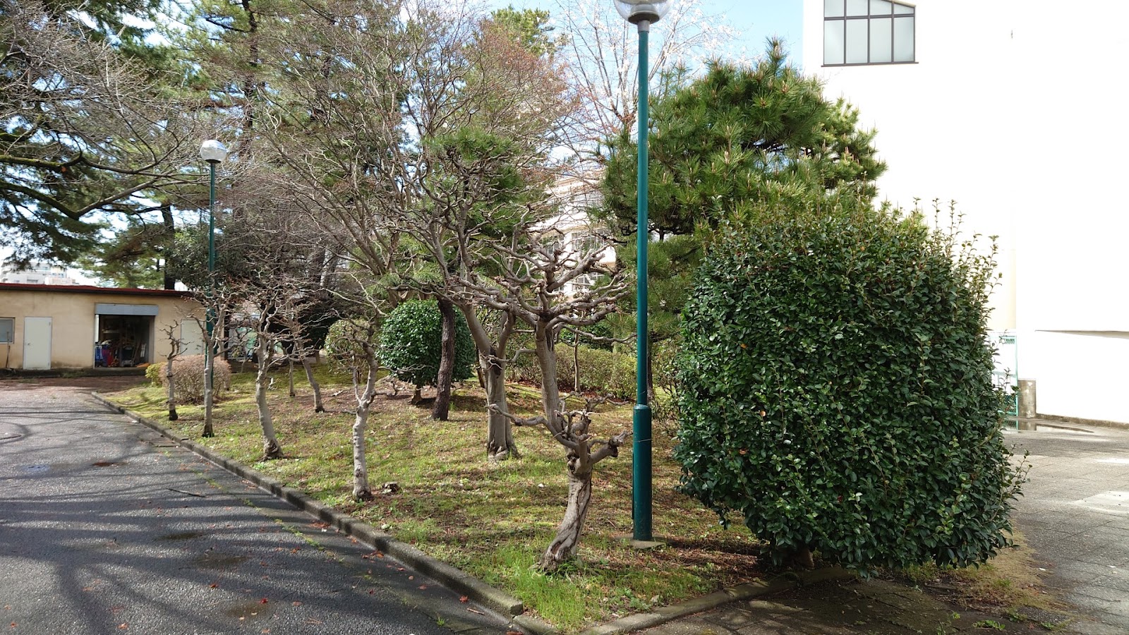 相模女子大学中学部の周辺・アクセス