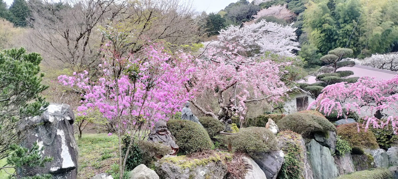 志学館中等部の校舎・キャンパス写真