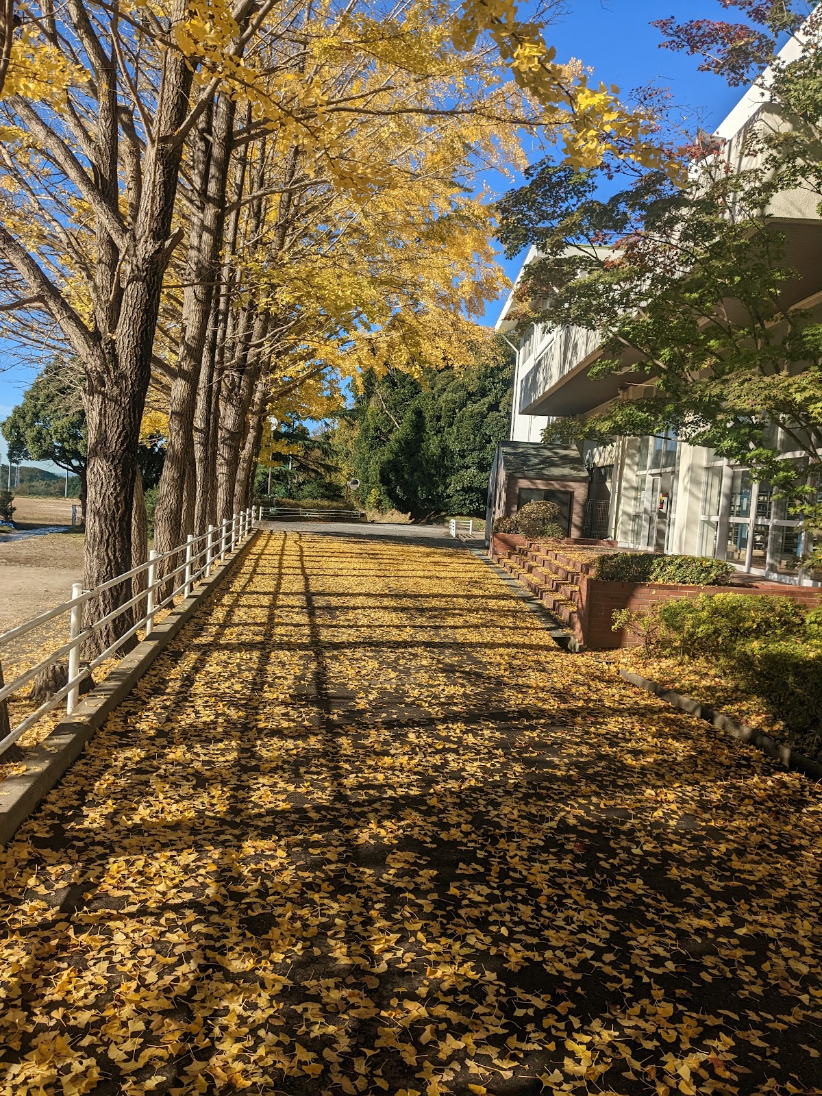 志学館中等部の施設・校内風景
