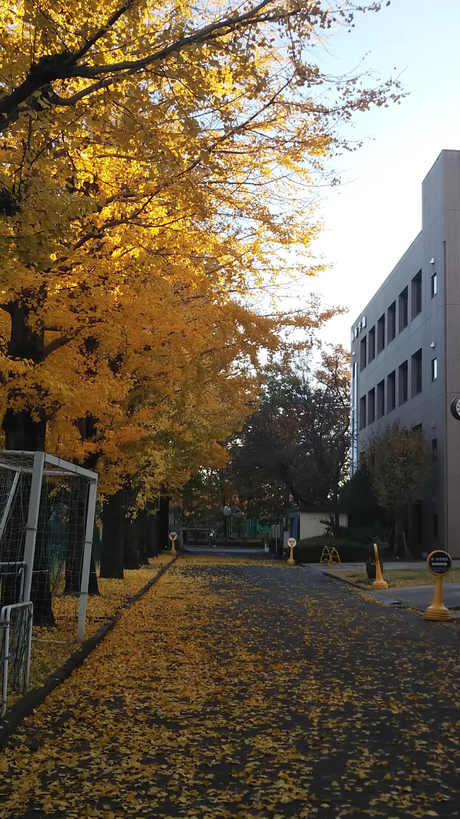 白梅学園清修中学校の学校生活・施設