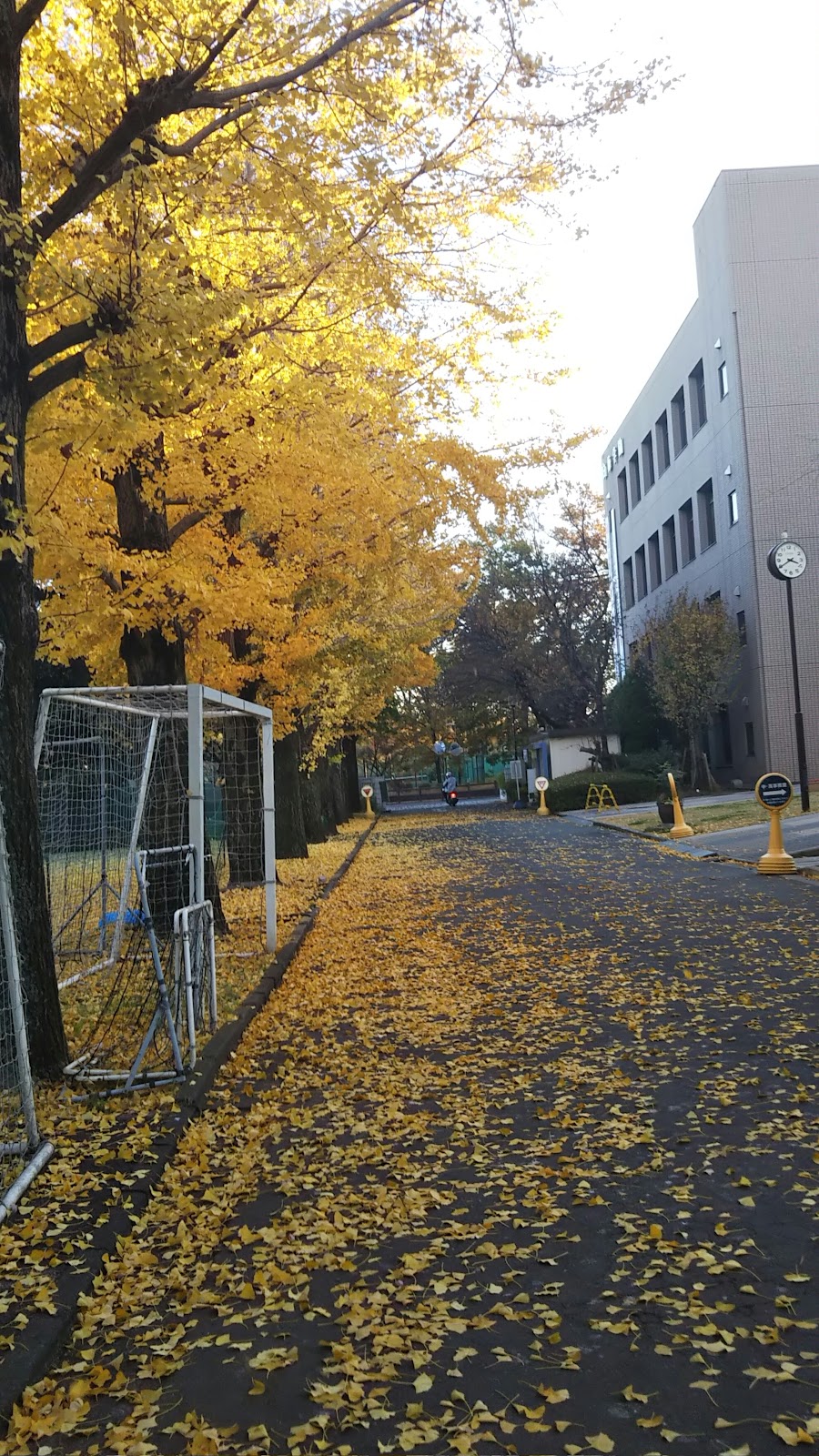 白梅学園清修中学校の周辺・アクセス