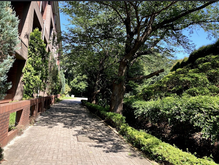 横浜富士見丘学園中学校の施設・校内風景