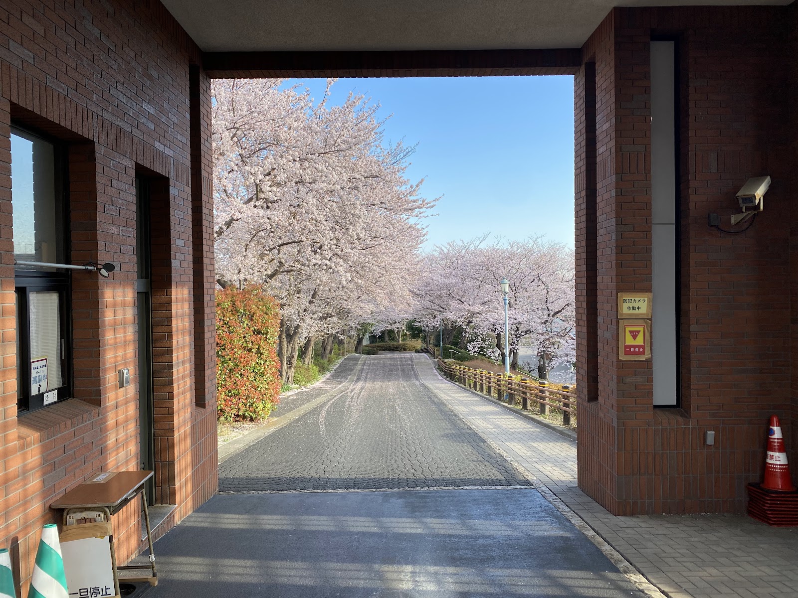横浜富士見丘学園中学校の校内・教育環境