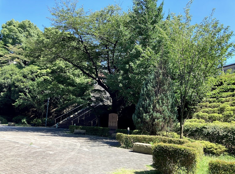 横浜富士見丘学園中学校の周辺・アクセス