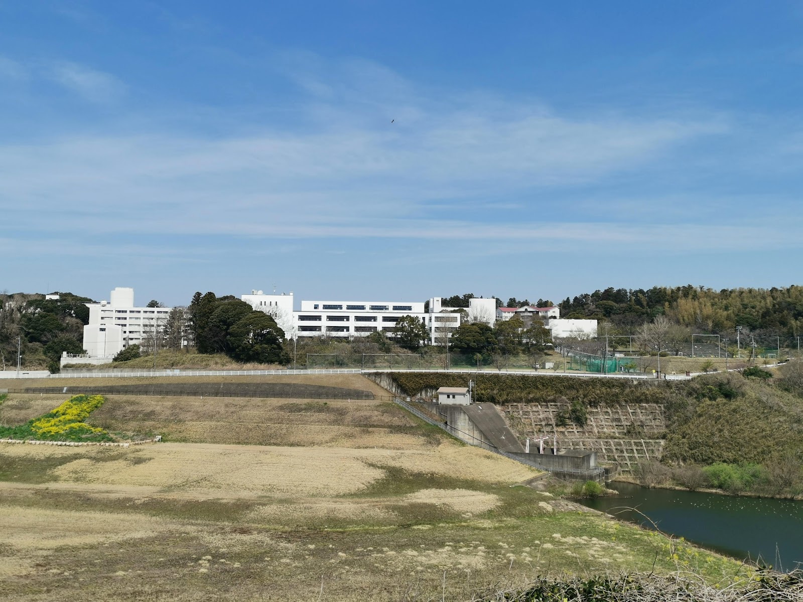 暁星国際中学校の周辺・アクセス