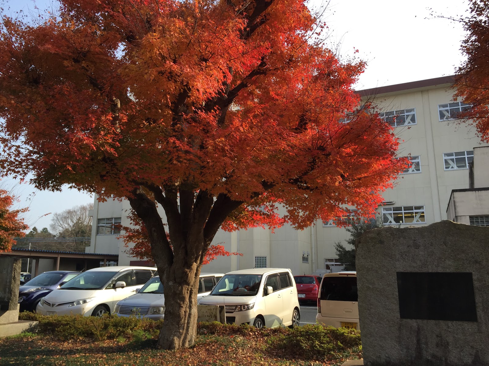 茨城県立鉾田第一高等学校附属中学校の周辺・アクセス