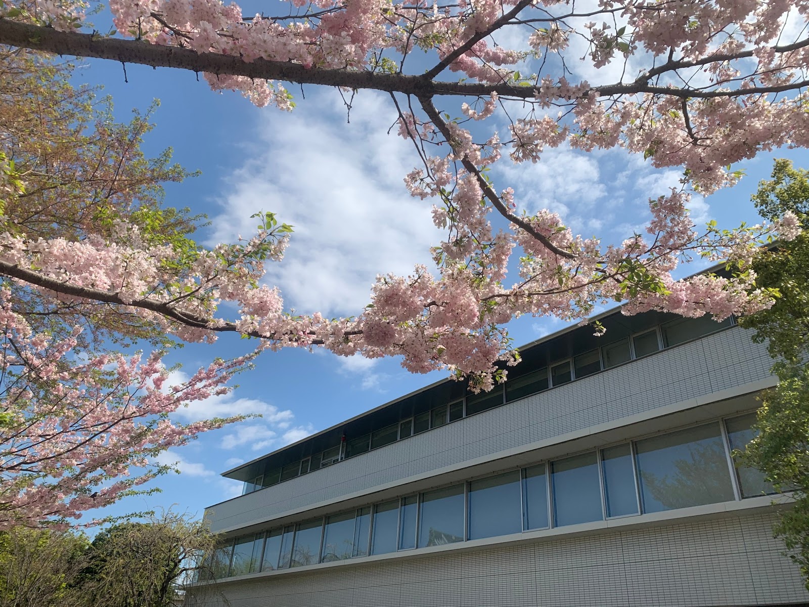 小石川淑徳学園中学校の校舎・キャンパス写真