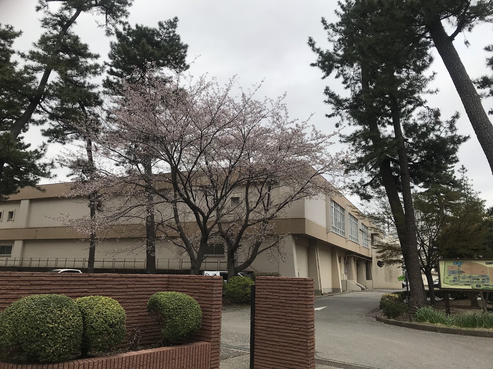 千葉県立東葛飾中学校の施設・校内風景