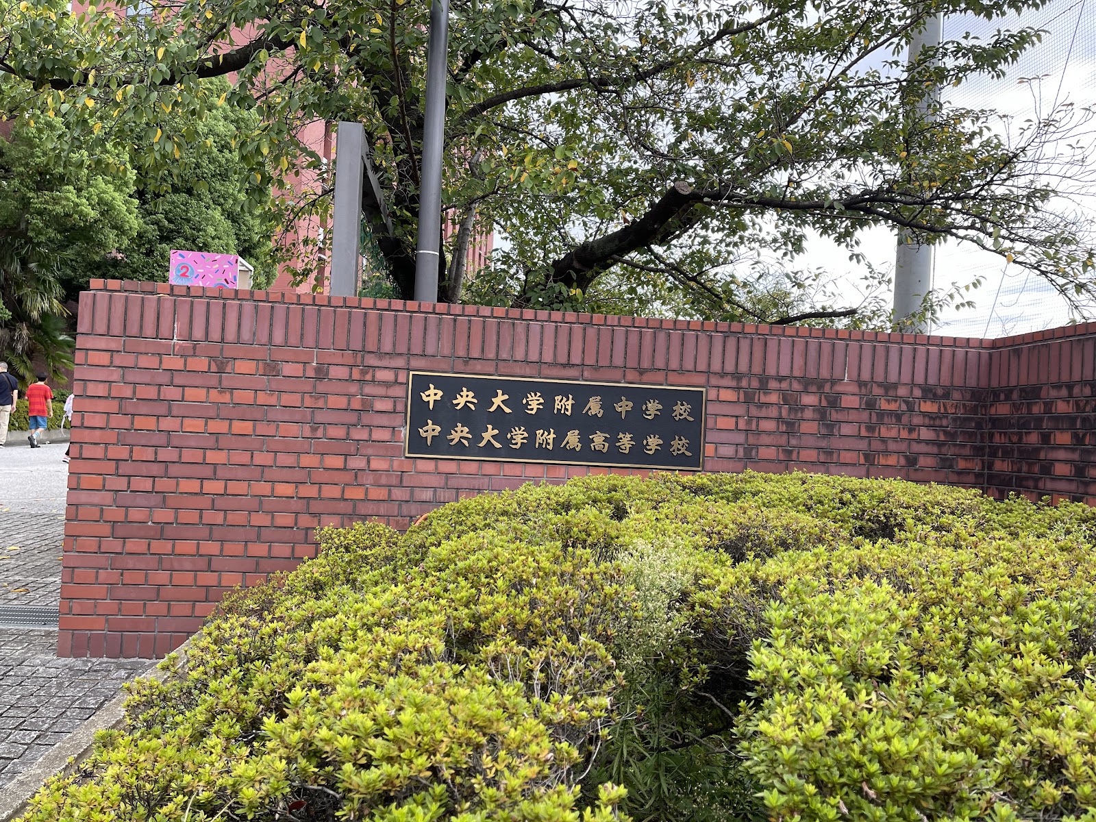中央大学附属中学校の校内・教育環境