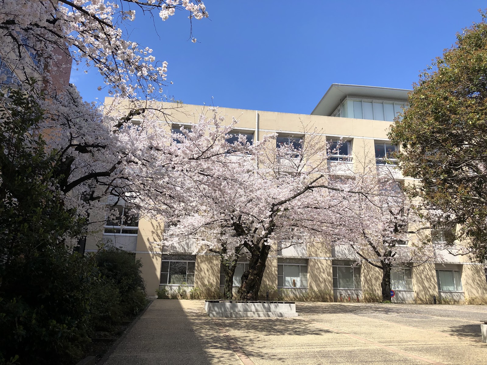 東京農業大学第一高等学校中等部の校内・教育環境