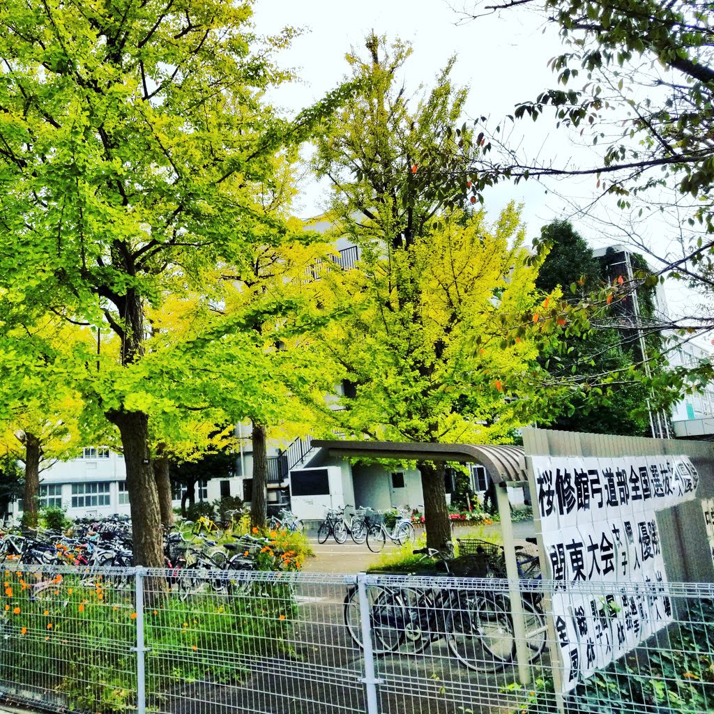 東京都立桜修館中等教育学校の施設・校内風景