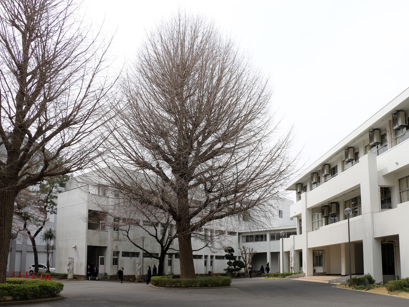 東邦大学付属東邦中学校の施設・校内風景