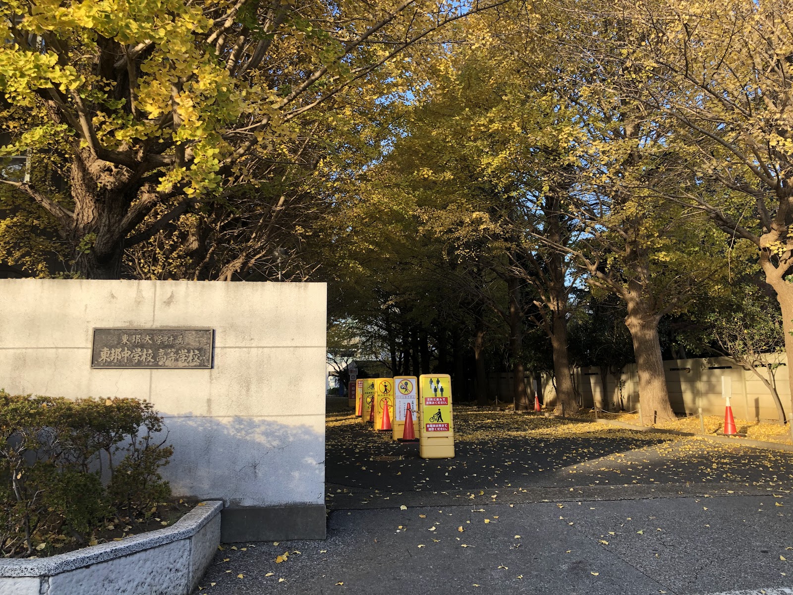東邦大学付属東邦中学校の周辺・アクセス