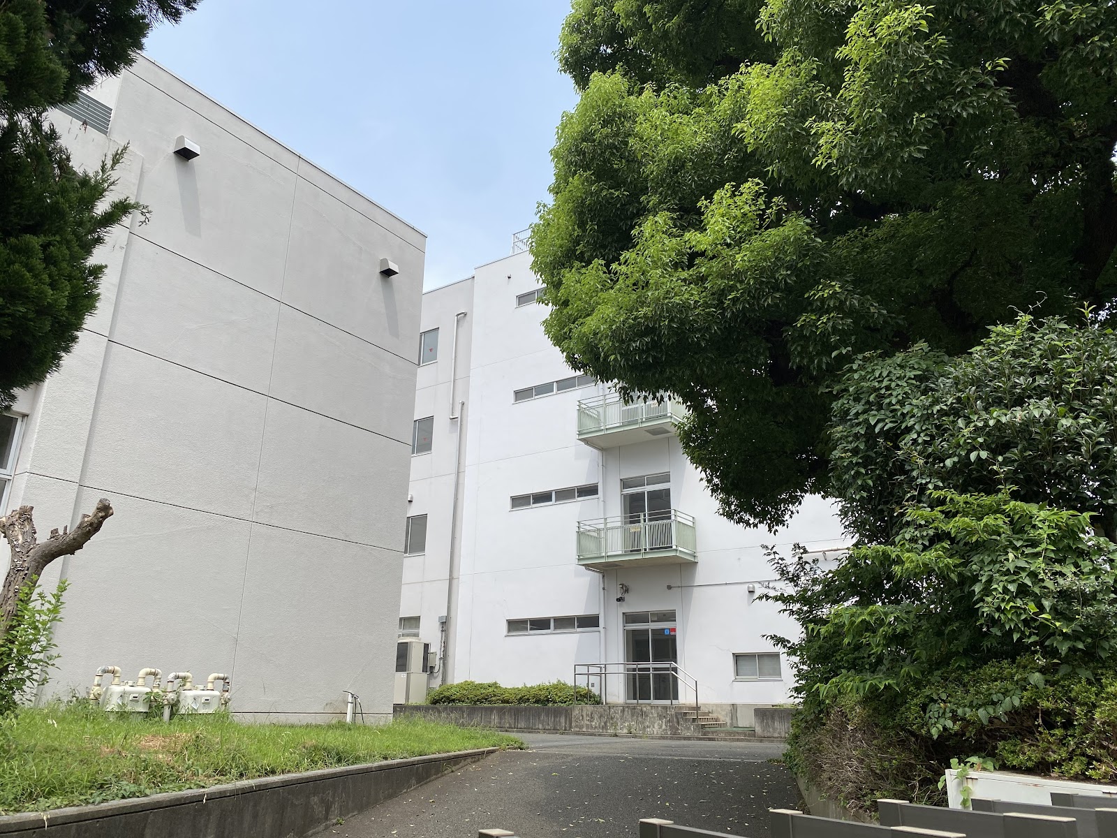 東京都立武蔵高等学校附属中学校の校内・教育環境