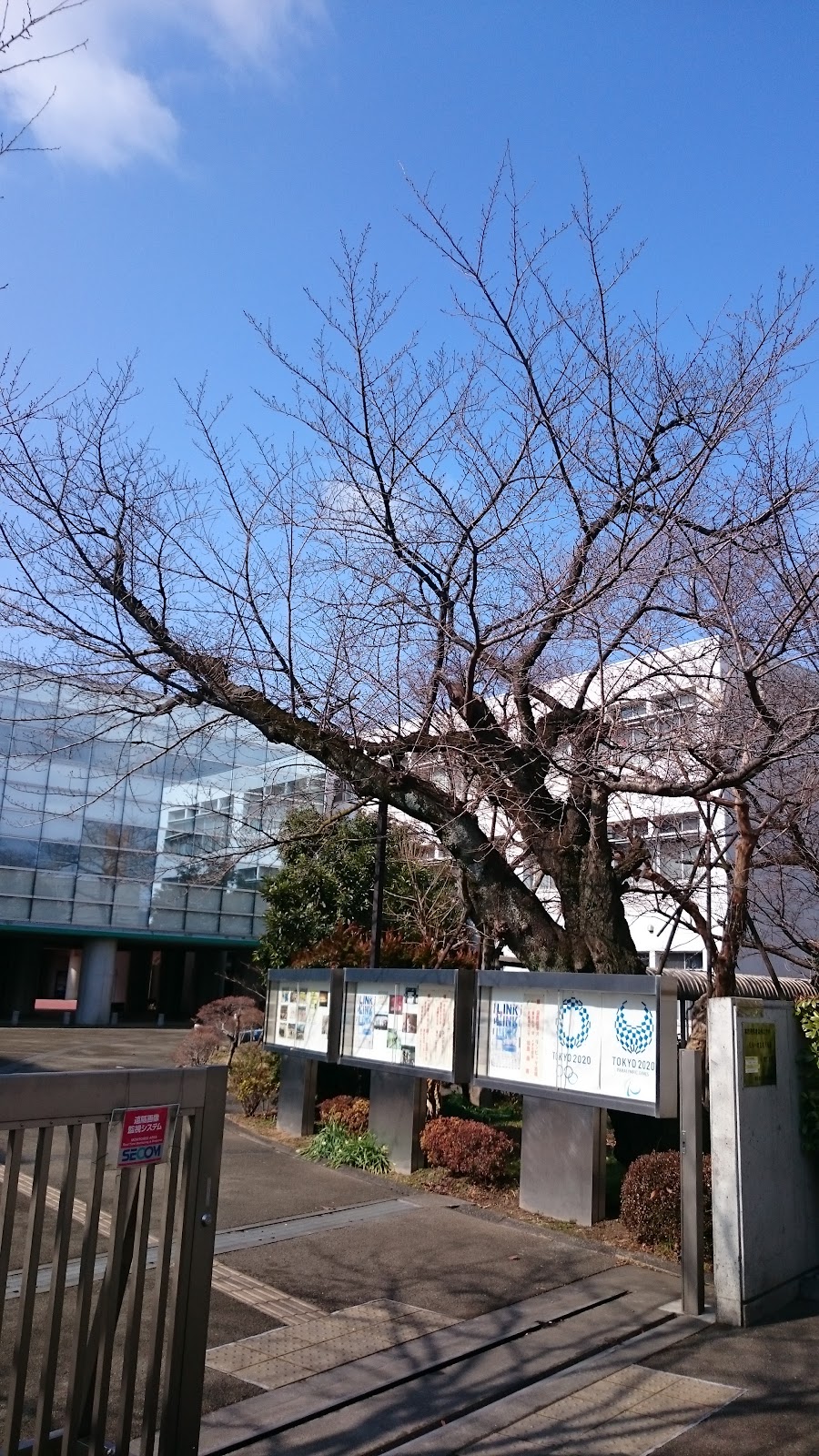 東京都立武蔵高等学校附属中学校の学校生活・施設