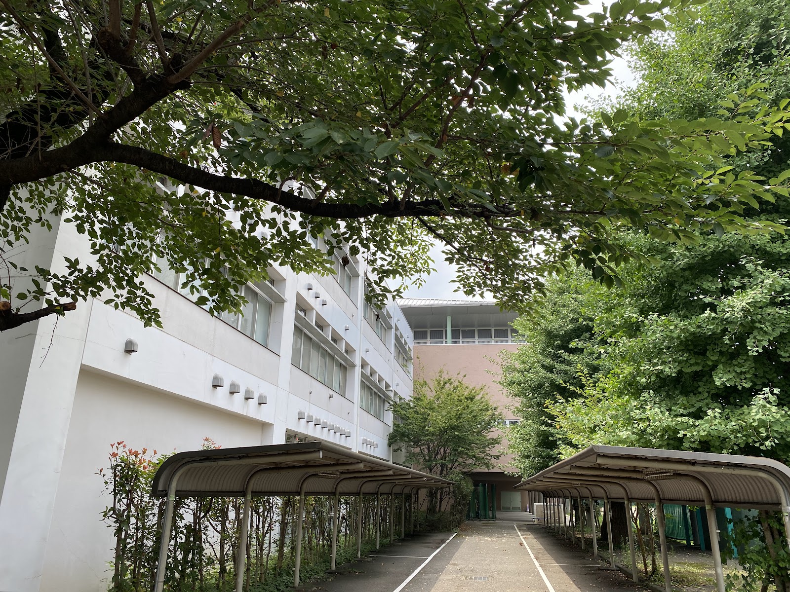 東京都立武蔵高等学校附属中学校の周辺・アクセス