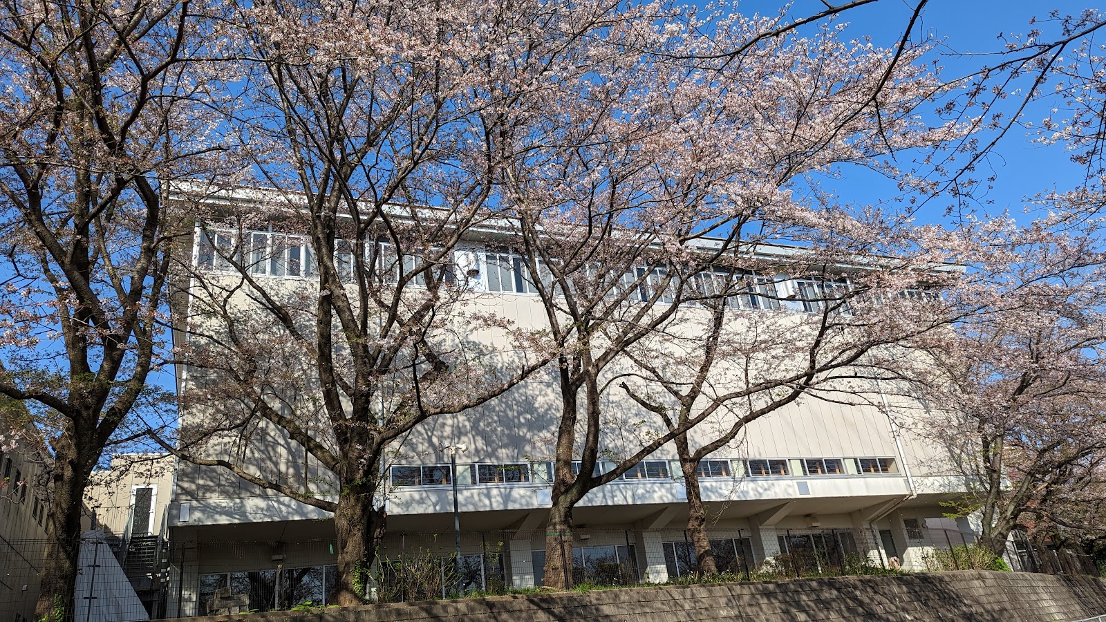浦和明の星女子中学校の校内・教育環境