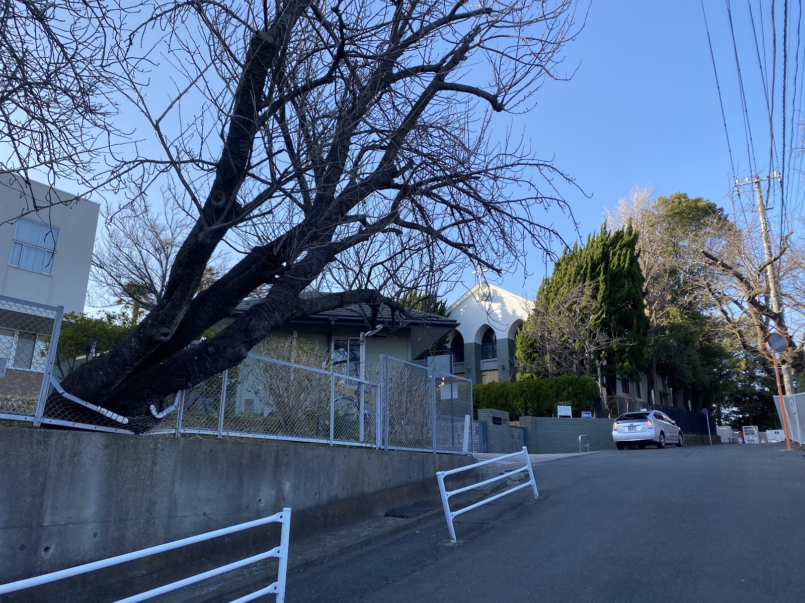 青山学院横浜英和中学校の周辺・アクセス