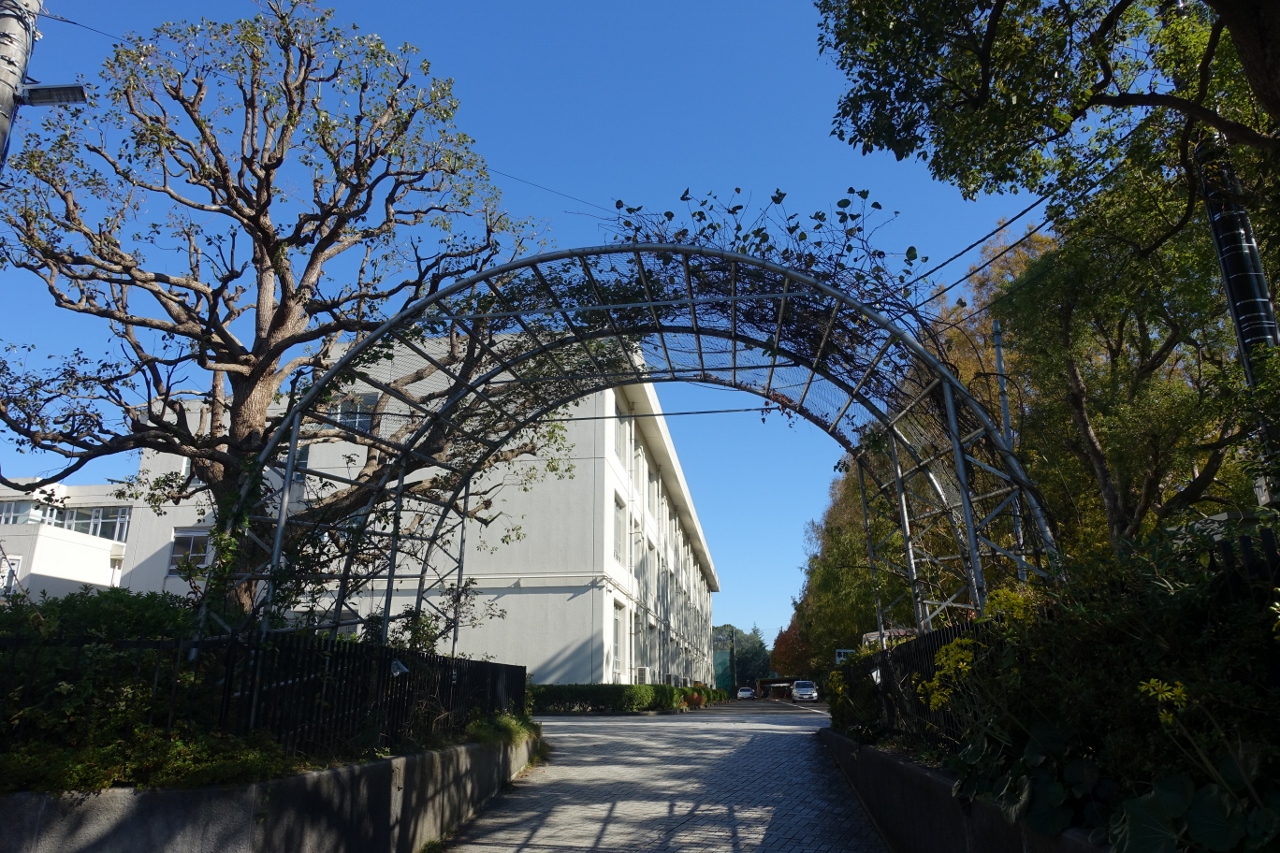 神奈川県立平塚中等教育学校の施設・校内風景