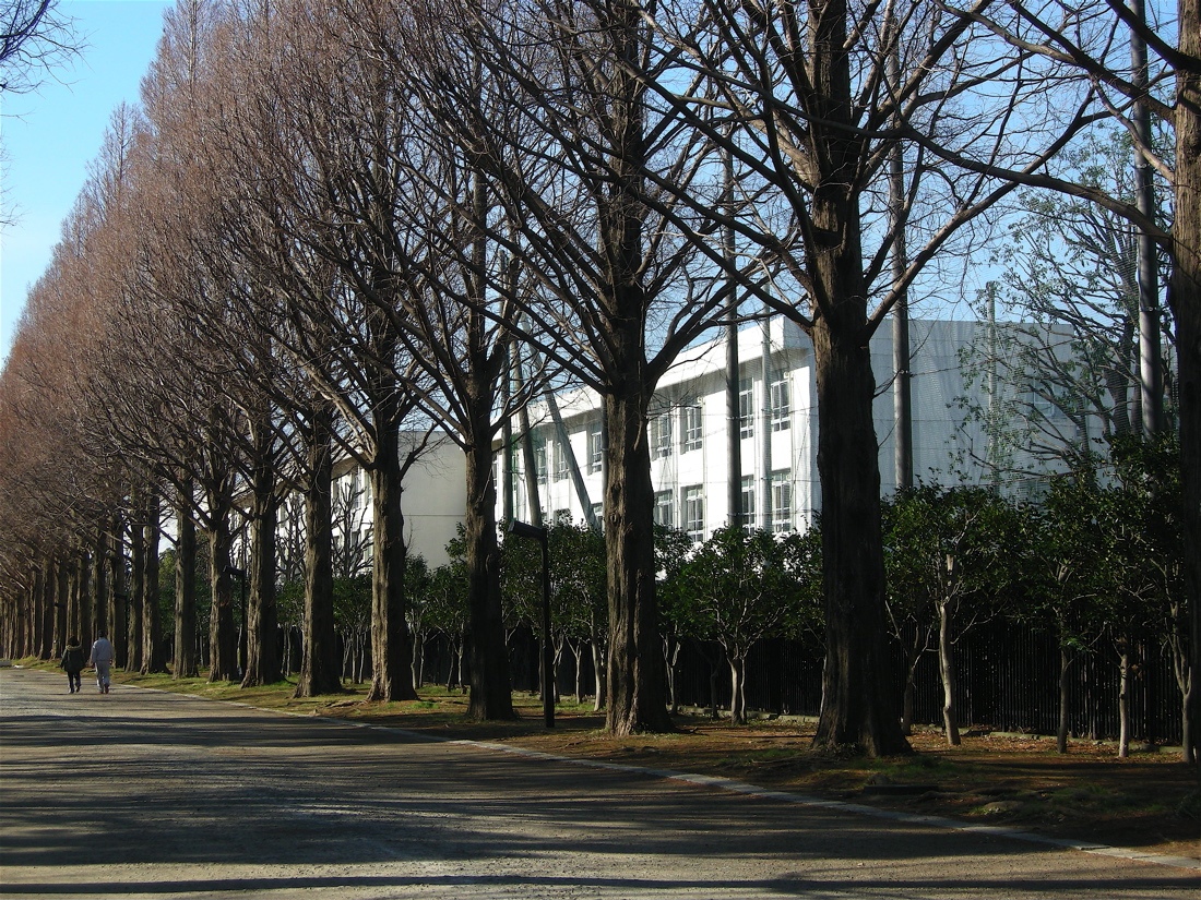 神奈川県立平塚中等教育学校の校内・教育環境