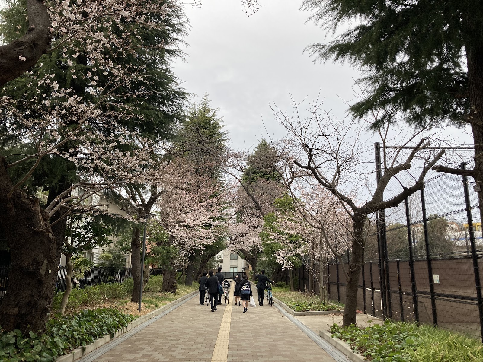 東京都立大泉高等学校附属中学校の校舎・キャンパス写真