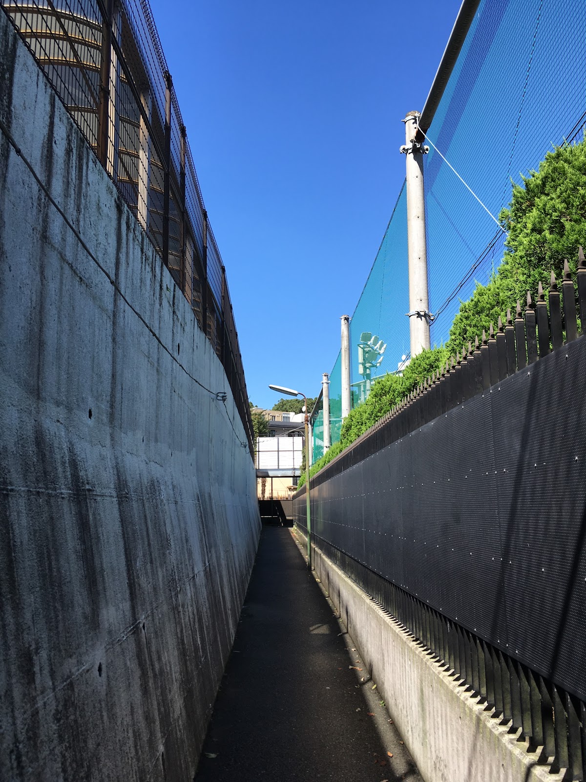 高輪中学校の周辺・アクセス
