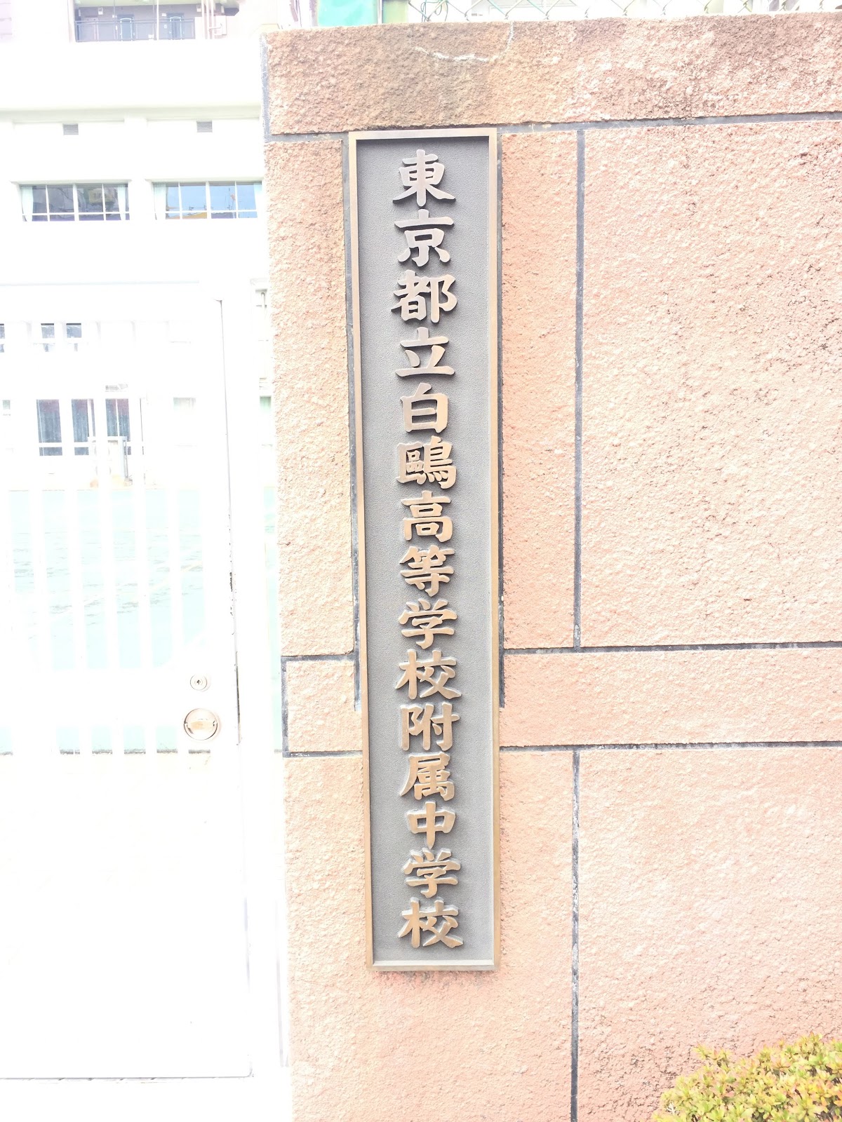 東京都立白鷗高等学校附属中学校の学校生活・施設