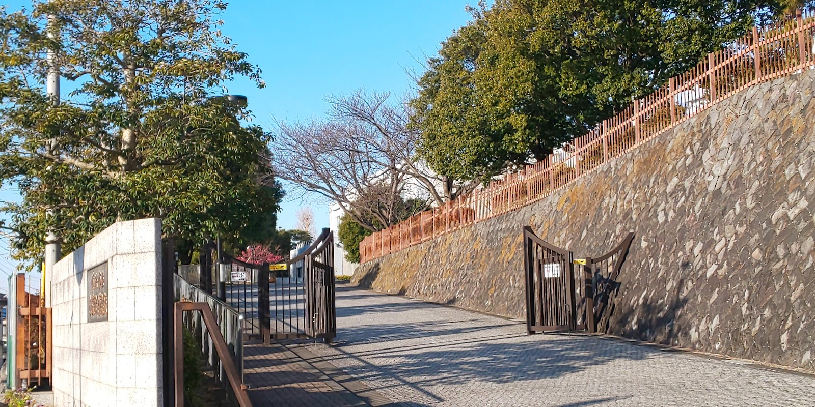 横浜市立南高等学校附属中学校の校舎・キャンパス写真