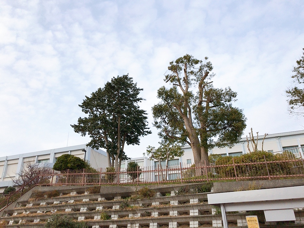 横浜市立南高等学校附属中学校の施設・校内風景