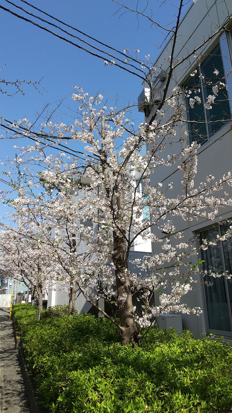 逗子開成中学校の施設・校内風景