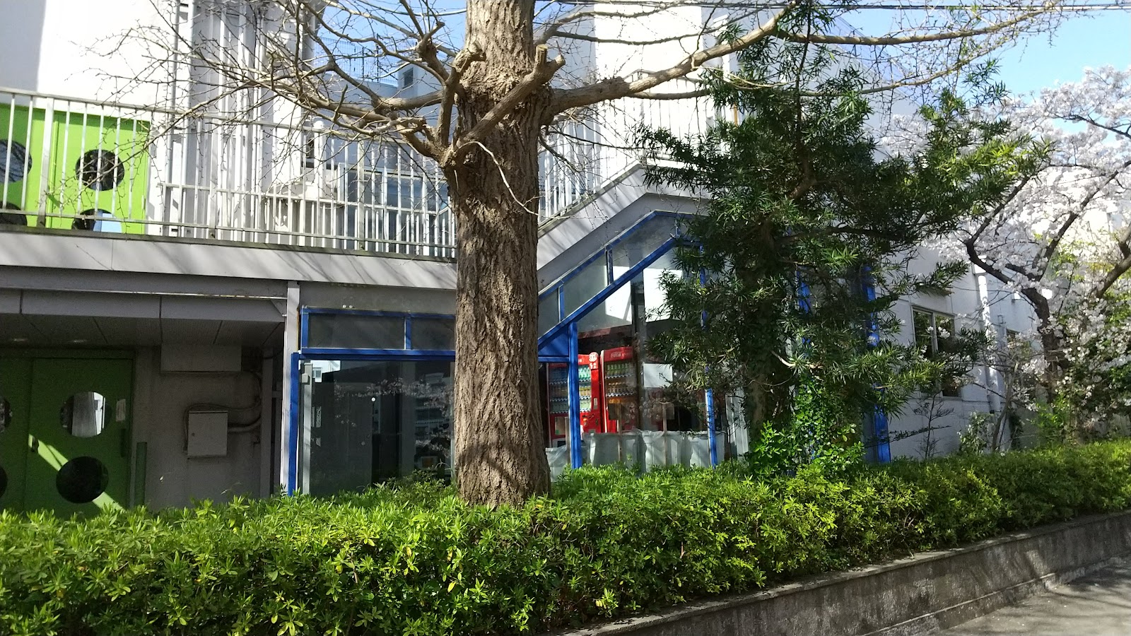 逗子開成中学校の学校生活・施設