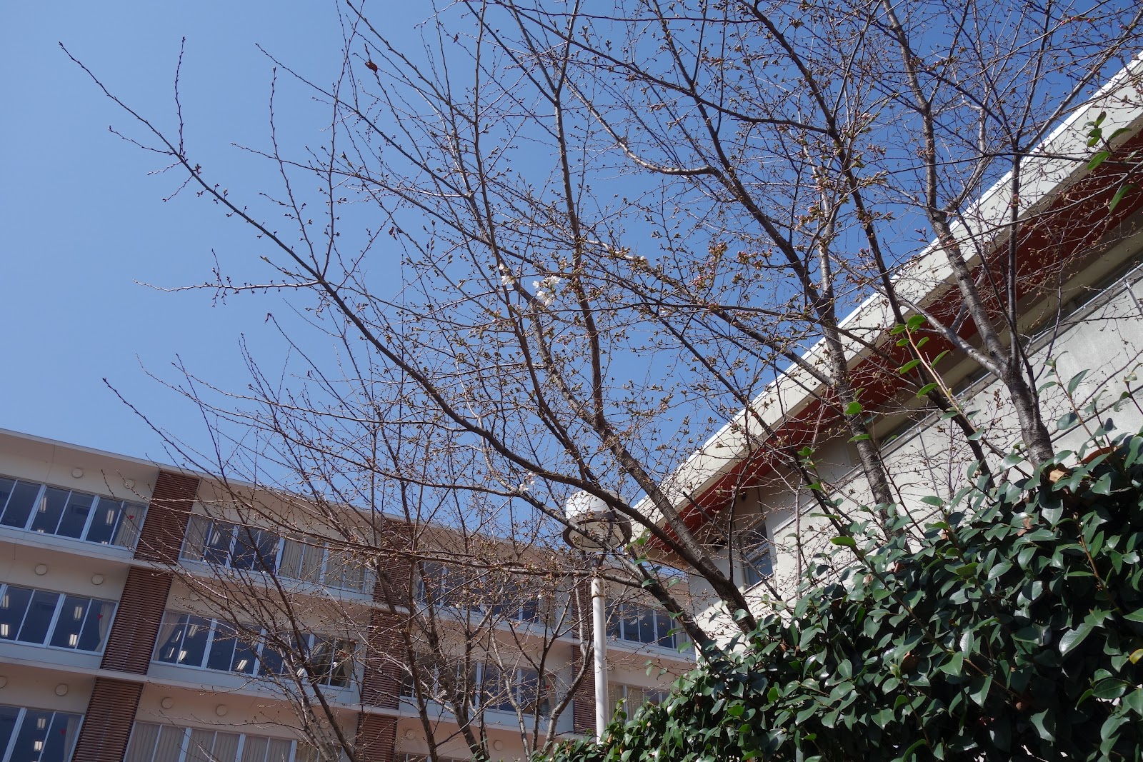 富士見中学校の学校生活・施設