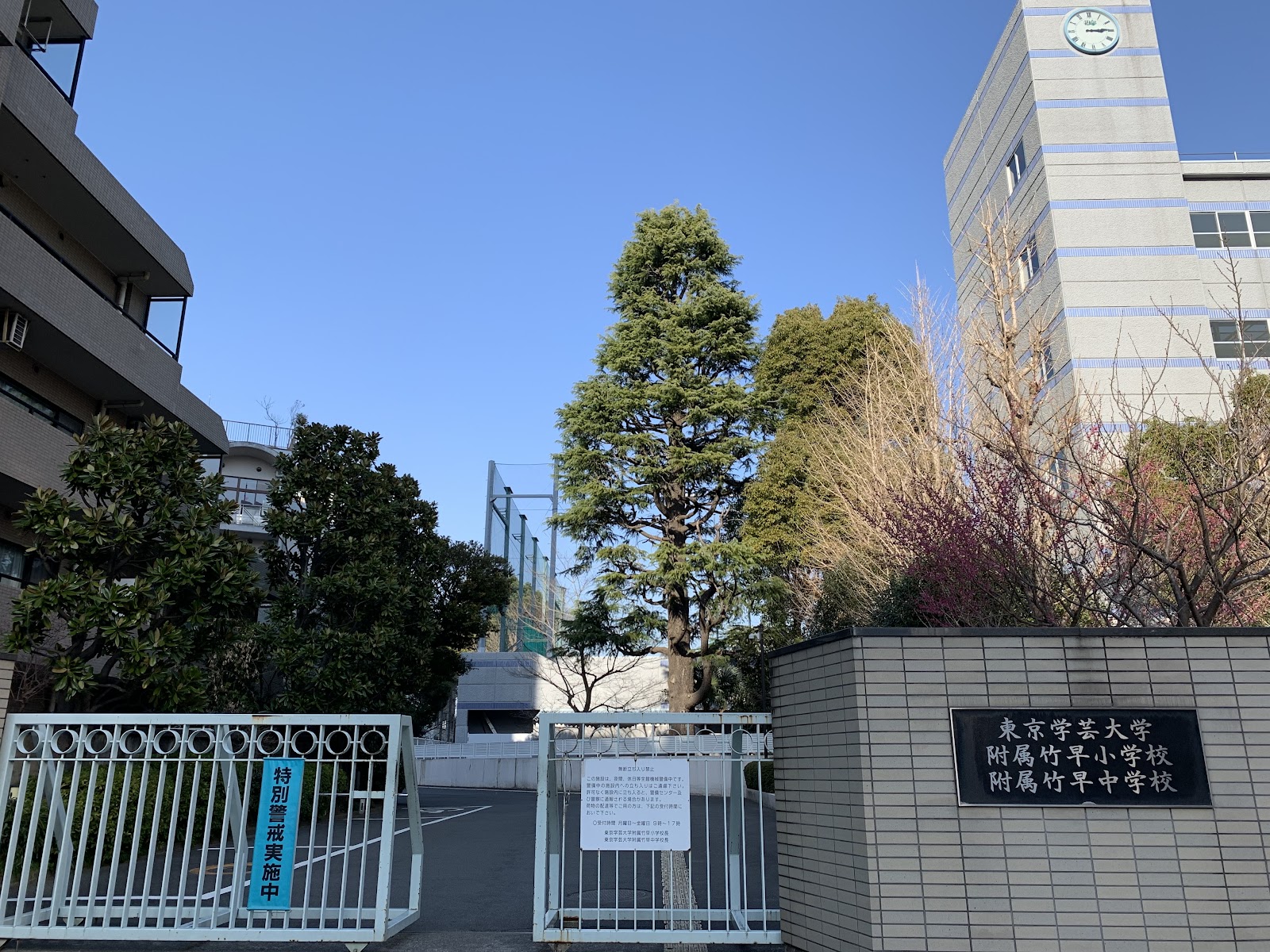 東京学芸大学附属竹早中学校の校舎・キャンパス写真