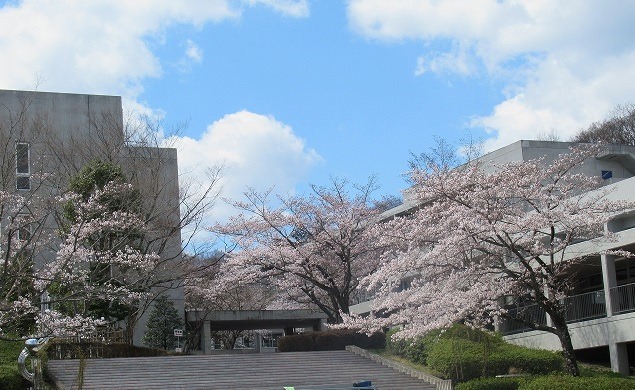 明治大学付属八王子中学校の校舎・キャンパス写真