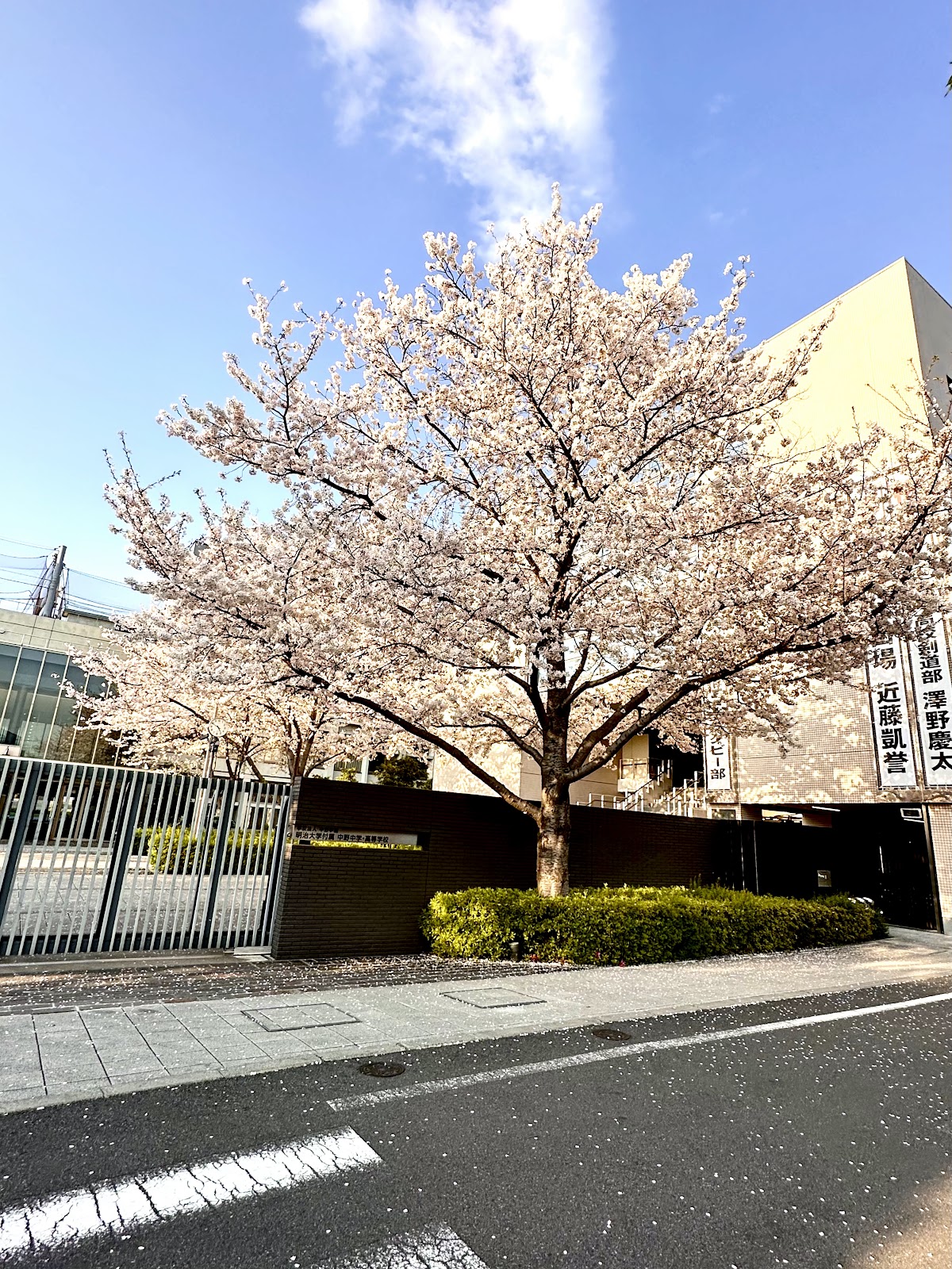 明治大学付属中野中学校の周辺・アクセス