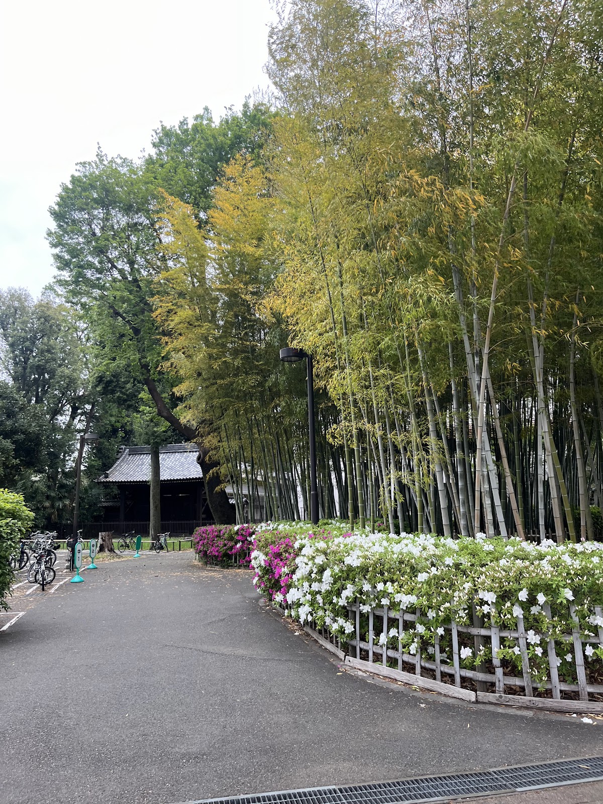 成蹊中学校の施設・校内風景