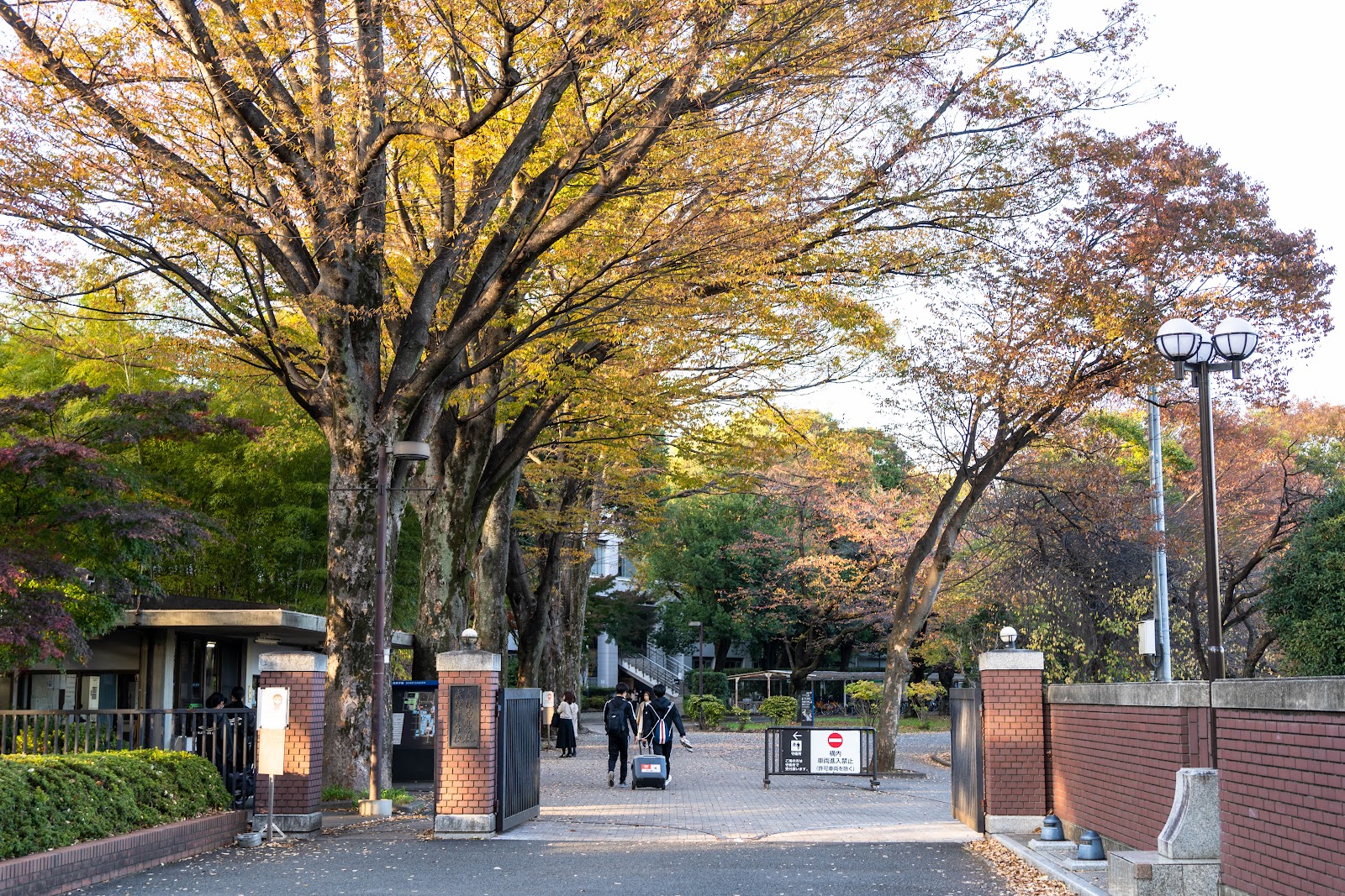 成蹊中学校の校内・教育環境