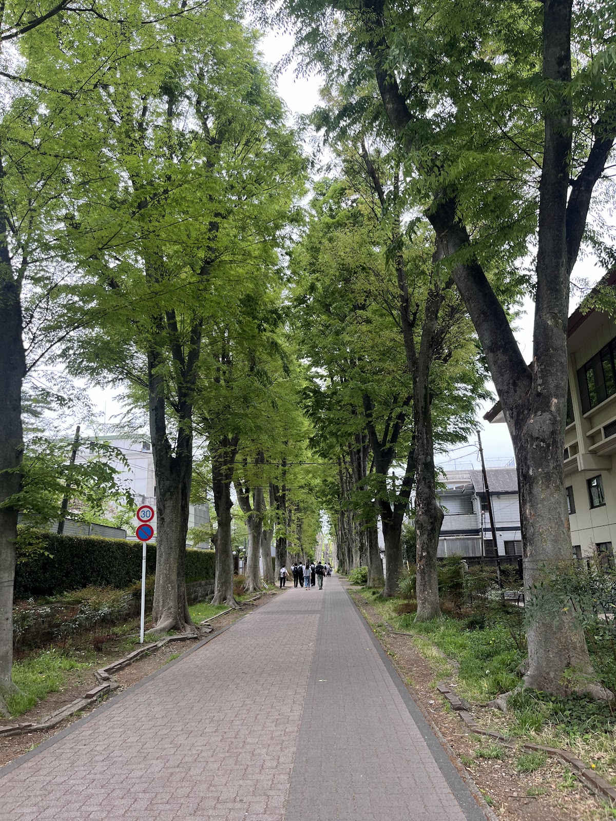 成蹊中学校の周辺・アクセス