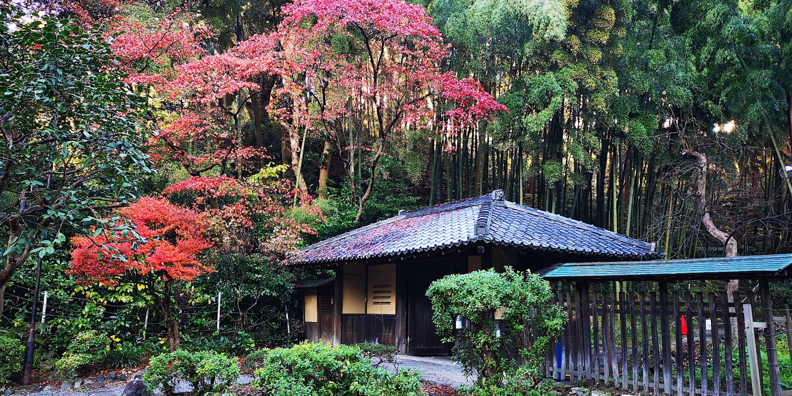 湘南白百合学園中学校の施設・校内風景