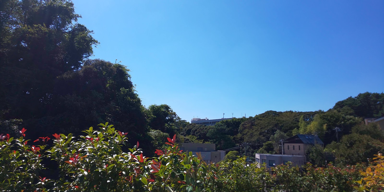 湘南白百合学園中学校の周辺・アクセス
