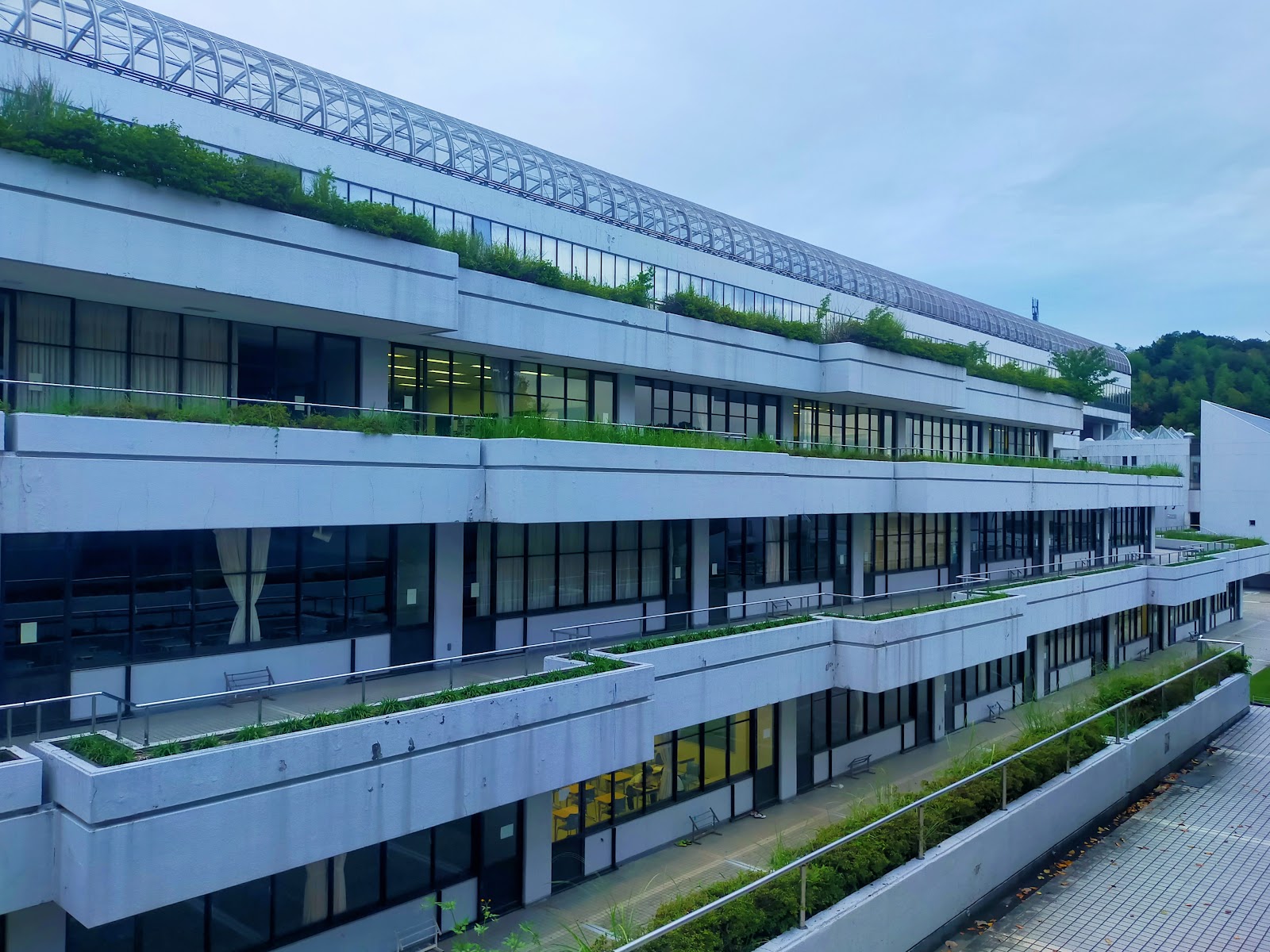 桐蔭学園中学校の施設・校内風景
