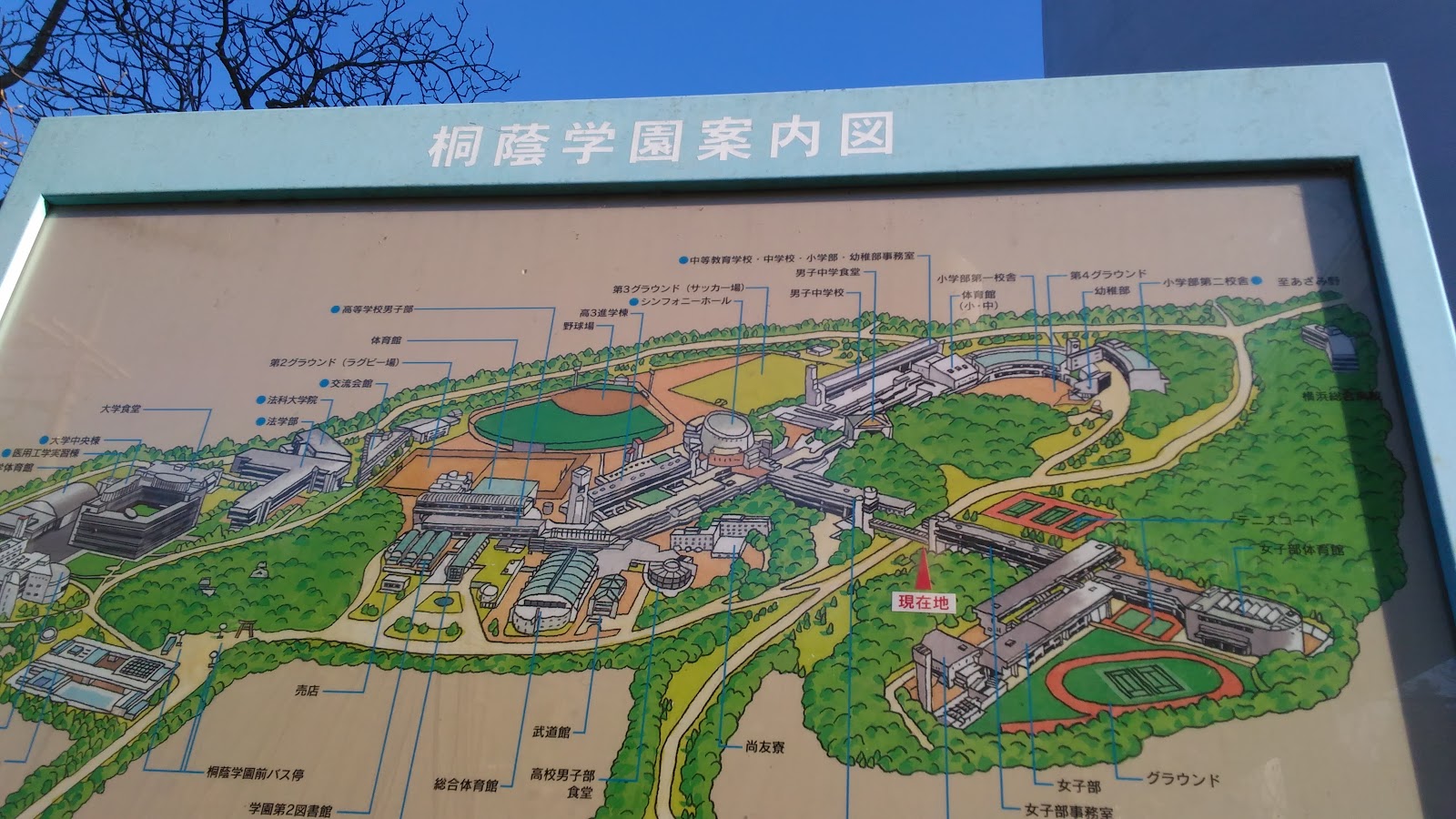 桐蔭学園中学校の学校生活・施設