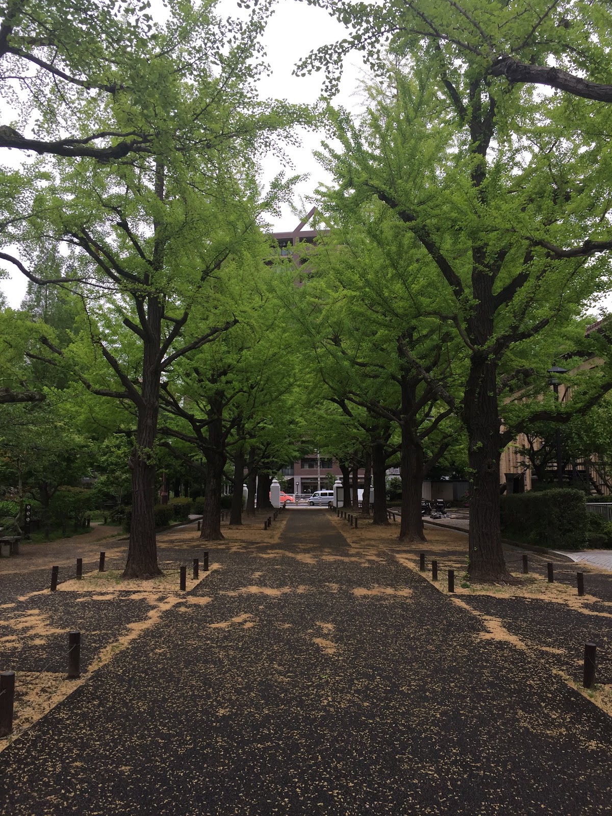 安田学園中学校の学校生活・施設